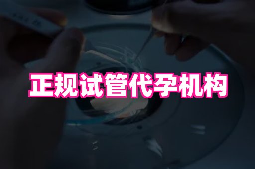 贵州助孕网站 2