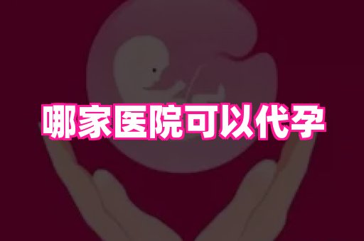 贵州助孕网站 4